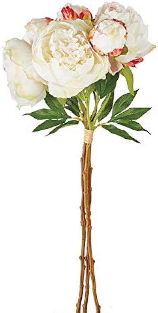 Napa Home & Garden Peony Bundle/3 Cream | Amazon (US)