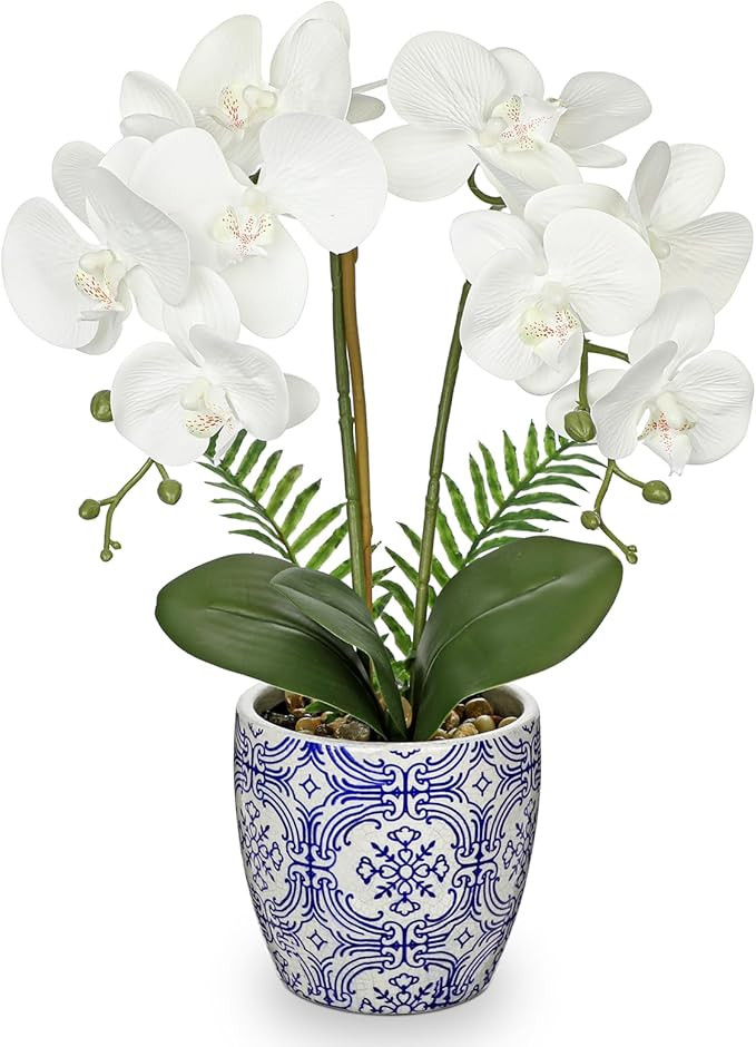 Briful Orchid Fake Flowers 18.8in White Orchid Silk Flower with Blue and White Pot Faux Orchid Ar... | Amazon (US)