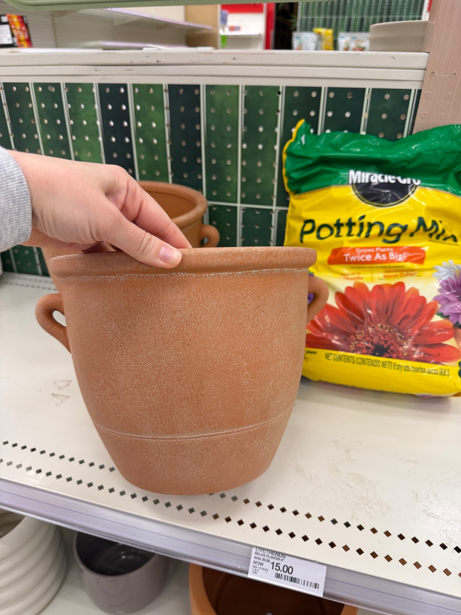 These gorgous Terracotta pots are back in stock online at Target! 🪴

#LTKSeasonal #LTKHome