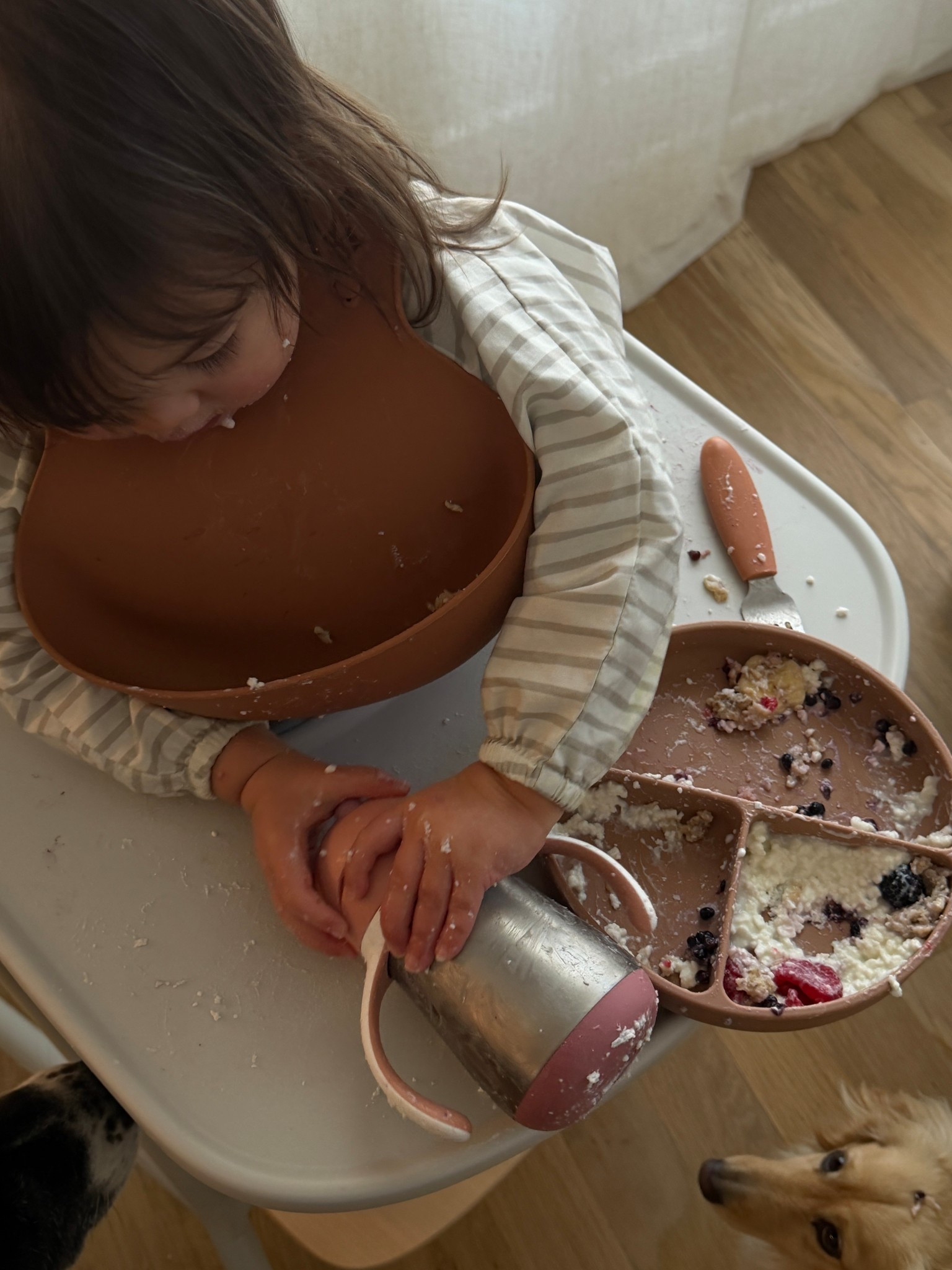 This smock bib is a life saver with a toddler! Makes clean up so much quicker and keep her outfit from being ruined! 

Toddler mom, mom life, mom hack

#LTKKids #LTKBaby #LTKmomlife