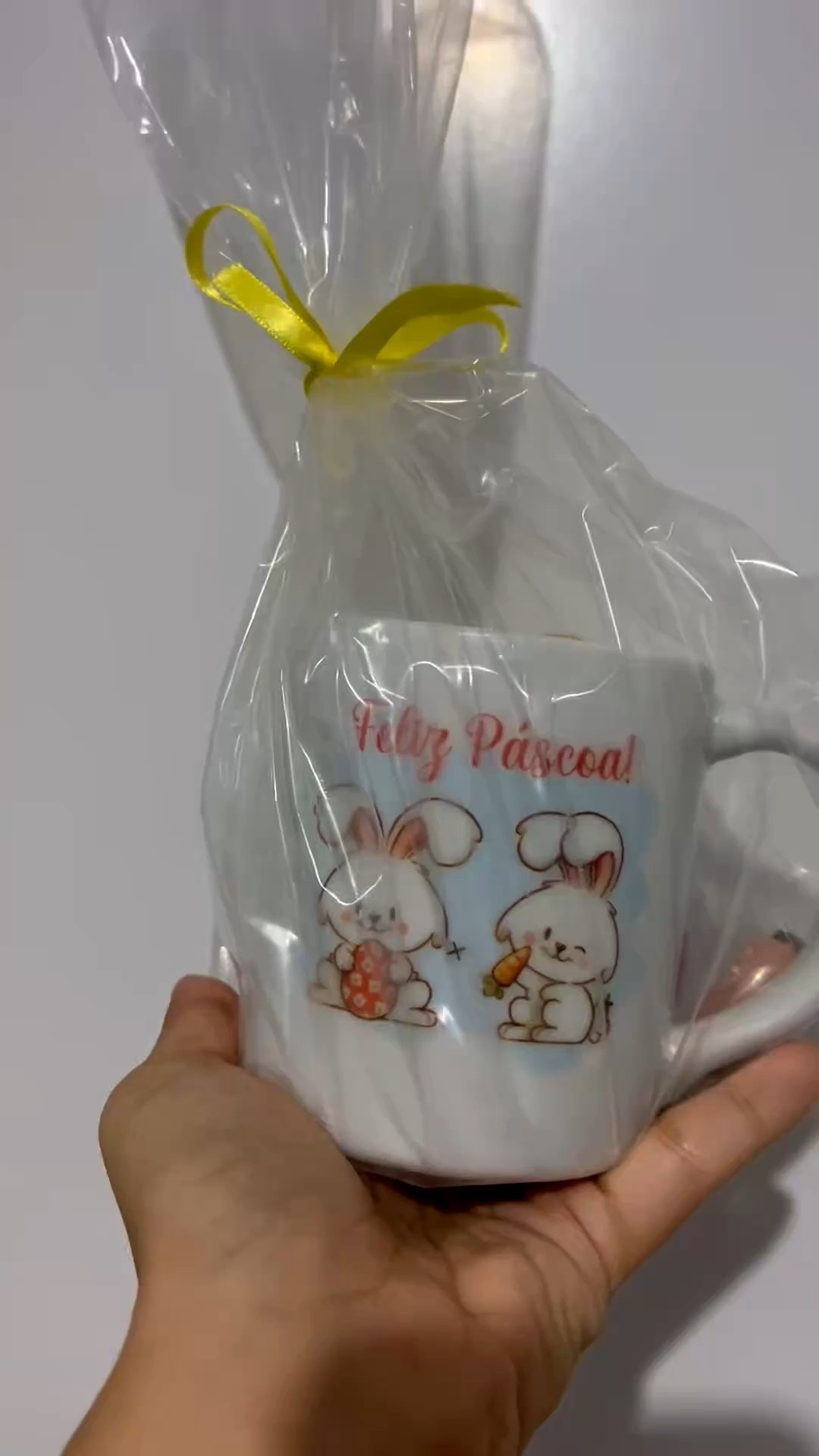Presente da minha mãe 🥕🐰  #felizpascoa #pascoa #doces #presente #caneca 

#LTKbrasil #LTKhome #LTKviagem
