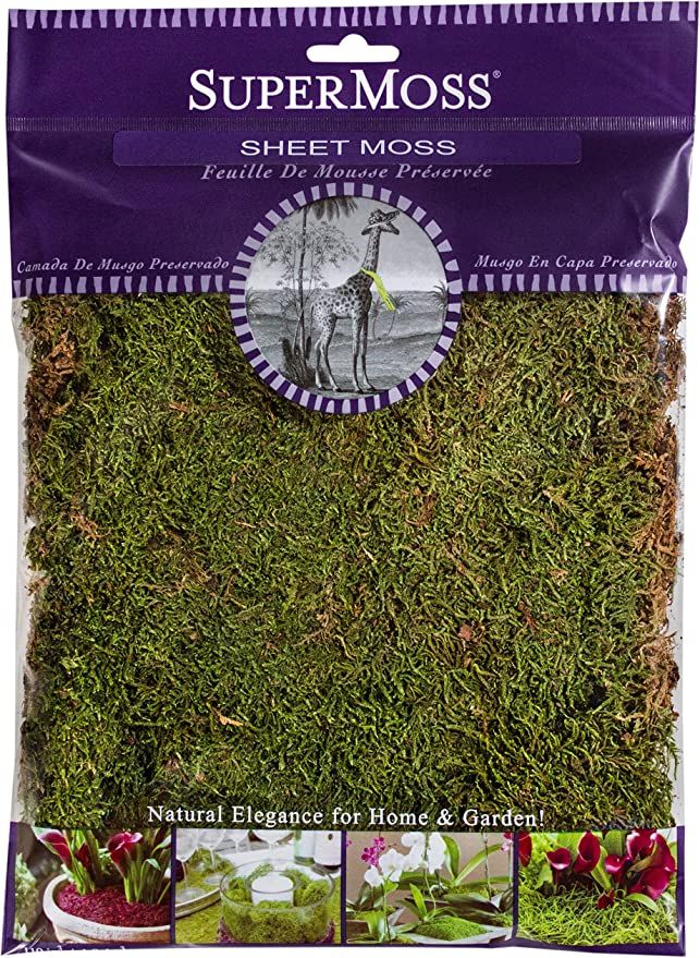 SuperMoss (21580) Sheet Moss Dried, Natural, 2oz | Amazon (CA)