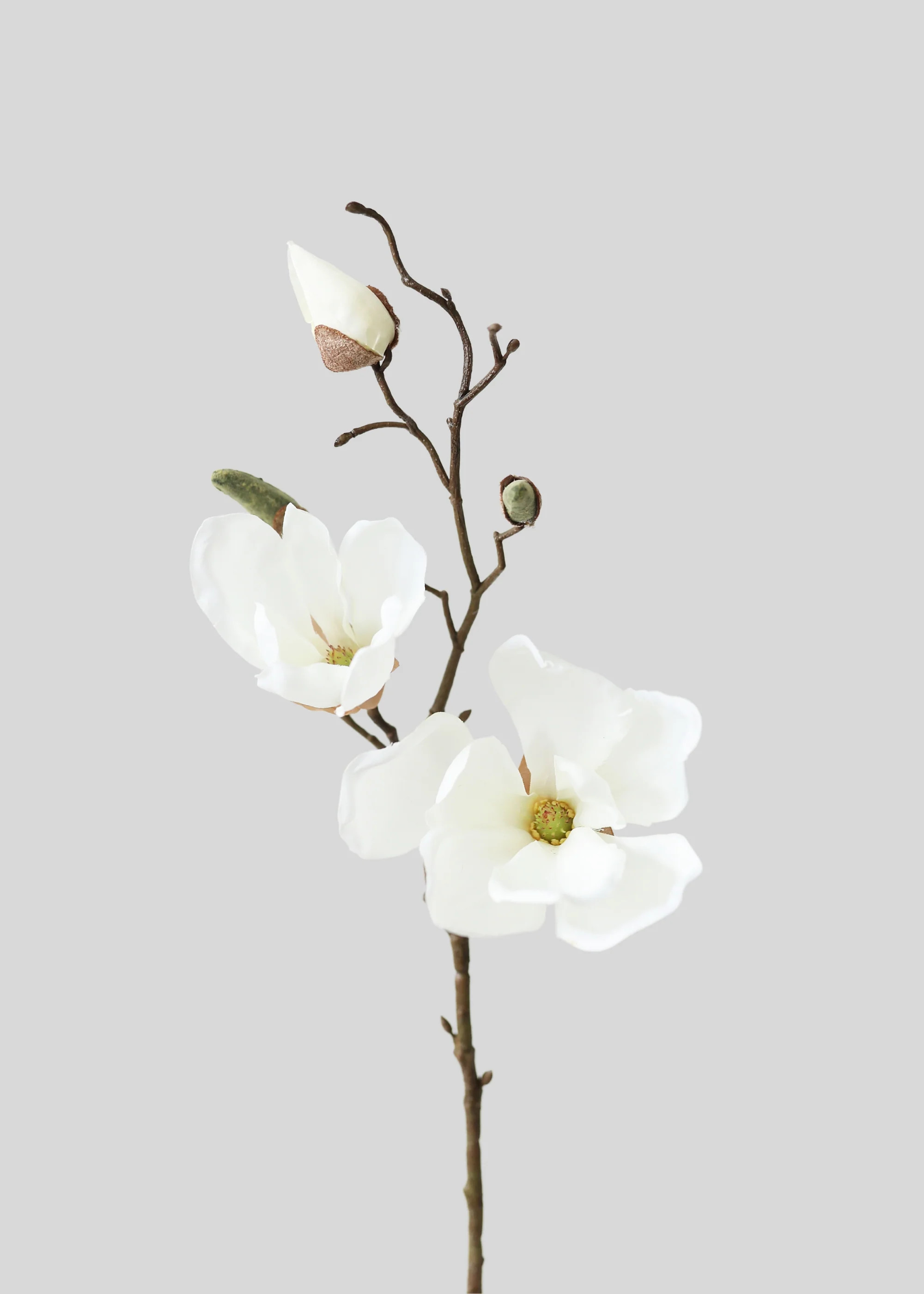Magnolia Pick in Cream | Lifelike Fake Spring Flowers | Afloral | Afloral