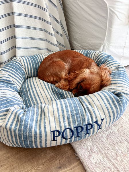 Poppy’s dog bed! 

Blue and white dog bed // blue and white striped dog bed // cute dog bed // monogrammed dog bedd