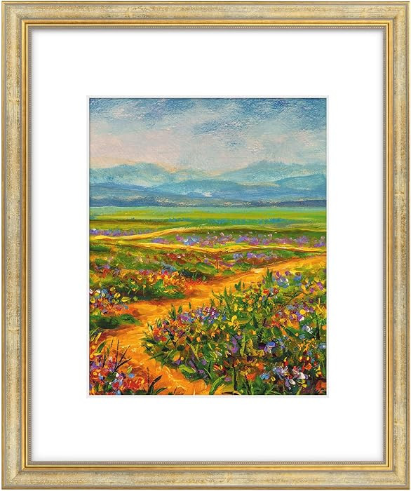 Golden State Art,16x20 Ornate Picture Frame Holds 11x14 Photo,Vintage Gold | Amazon (US)