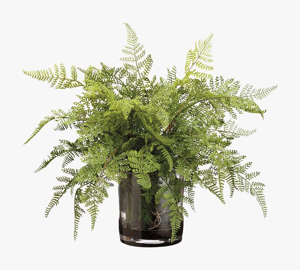 Faux Lace Fern In Glass Vase | Pottery Barn (US)