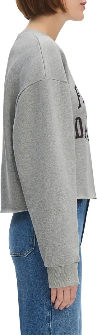 Cropped Collegiate Sweatshirt | Nordstrom