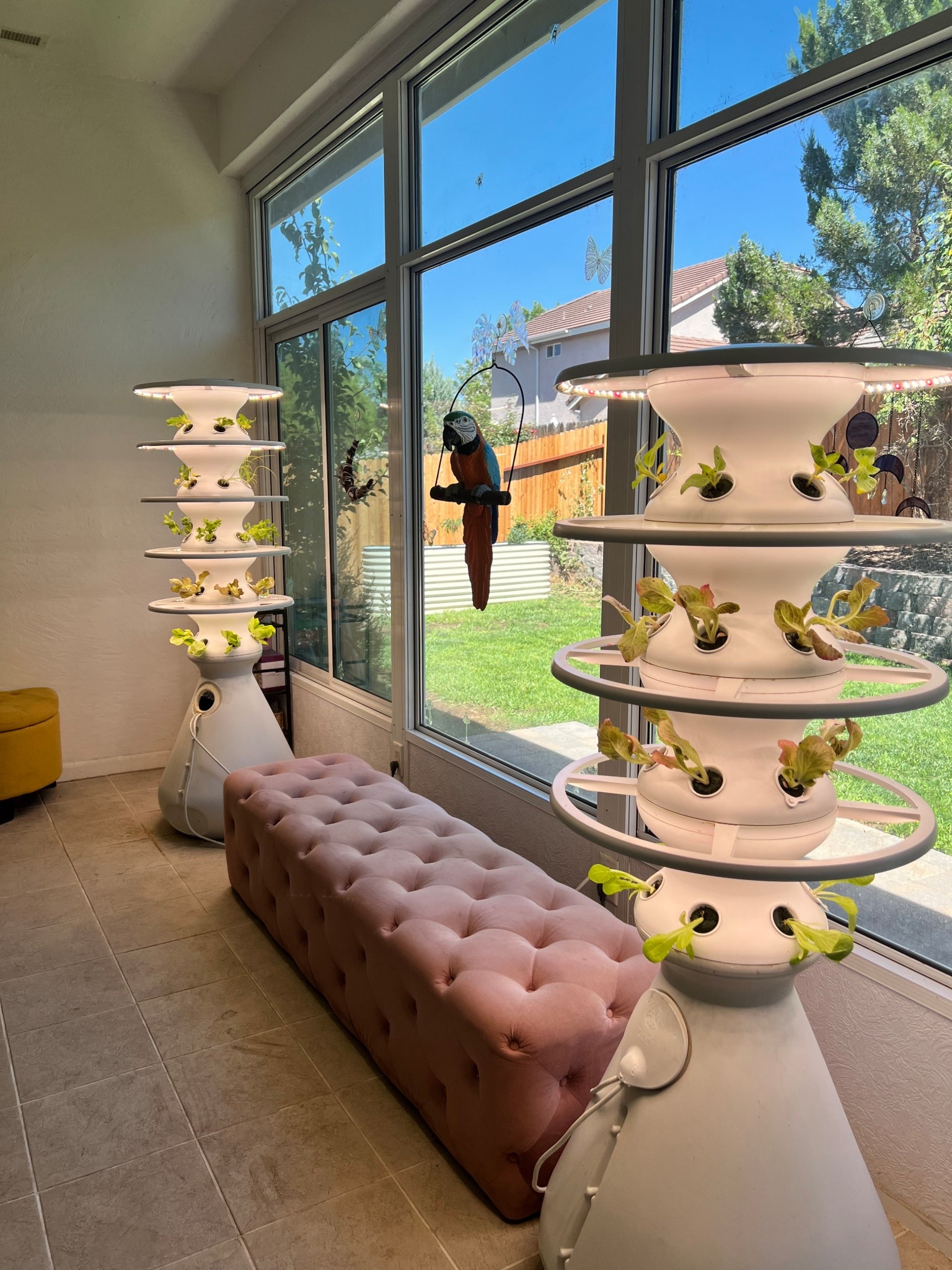 54 new plant babies are here!!!  It’s mostly butter lettuce and romaine, but there’s a few surprises we haven’t tried before too 👀 🌻 

#lettucegrow #growypurownfood #gardening #ediblegarden 

#LTKSeasonal #LTKHome