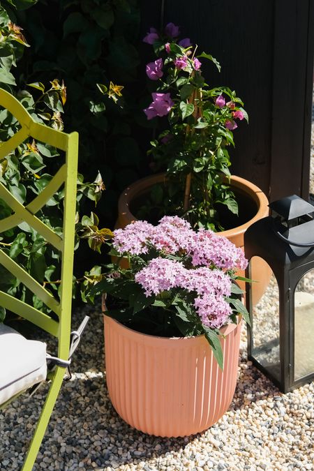 Still my all-time favorite pots! Super affordable and very light weight!

#flutedpot #gardening #outdoorpatio #springpatio 

#LTKSeasonal #LTKsalealert