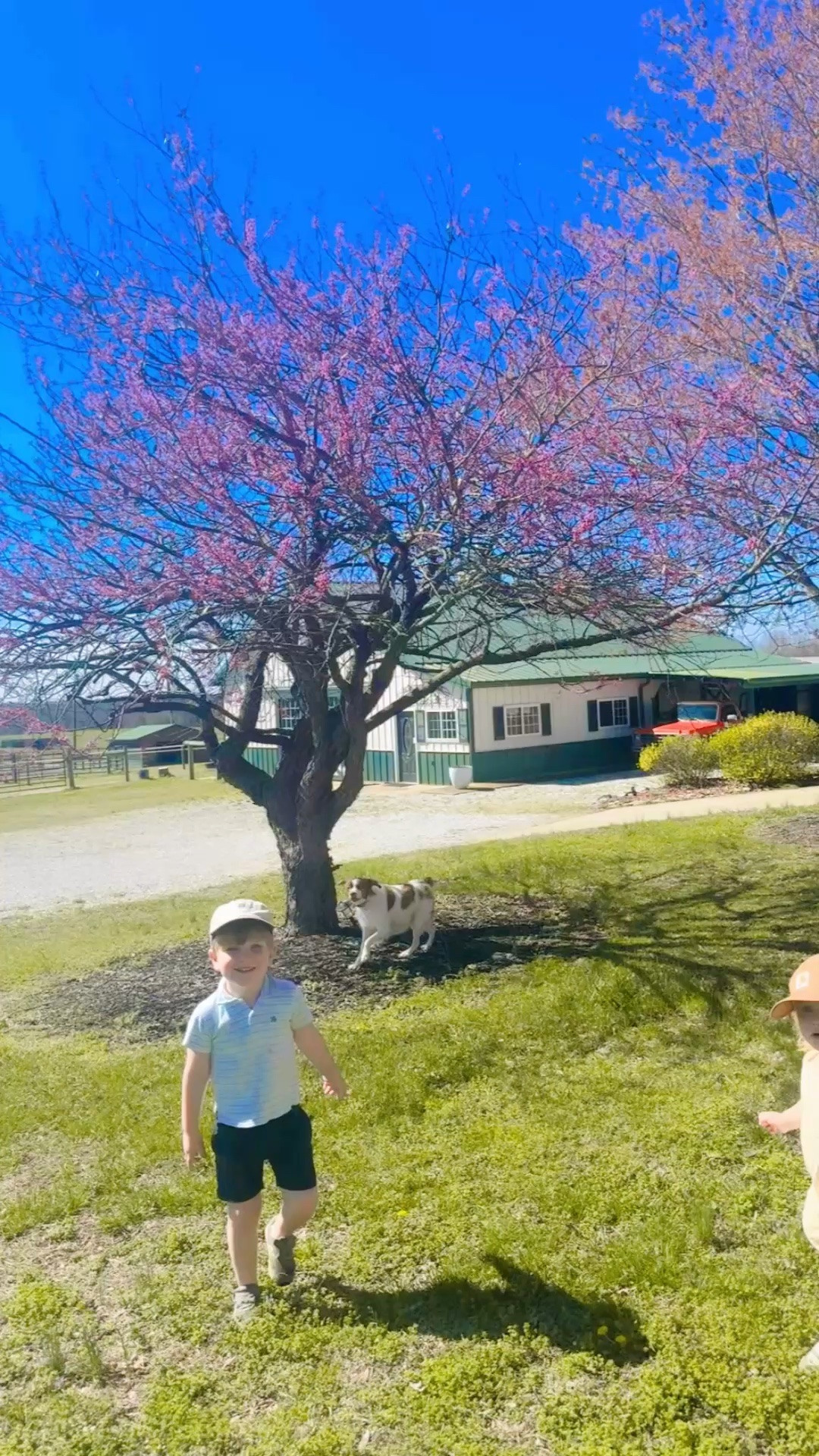 just such a gorgeous spring day here on the farm 🌸🚜🪴