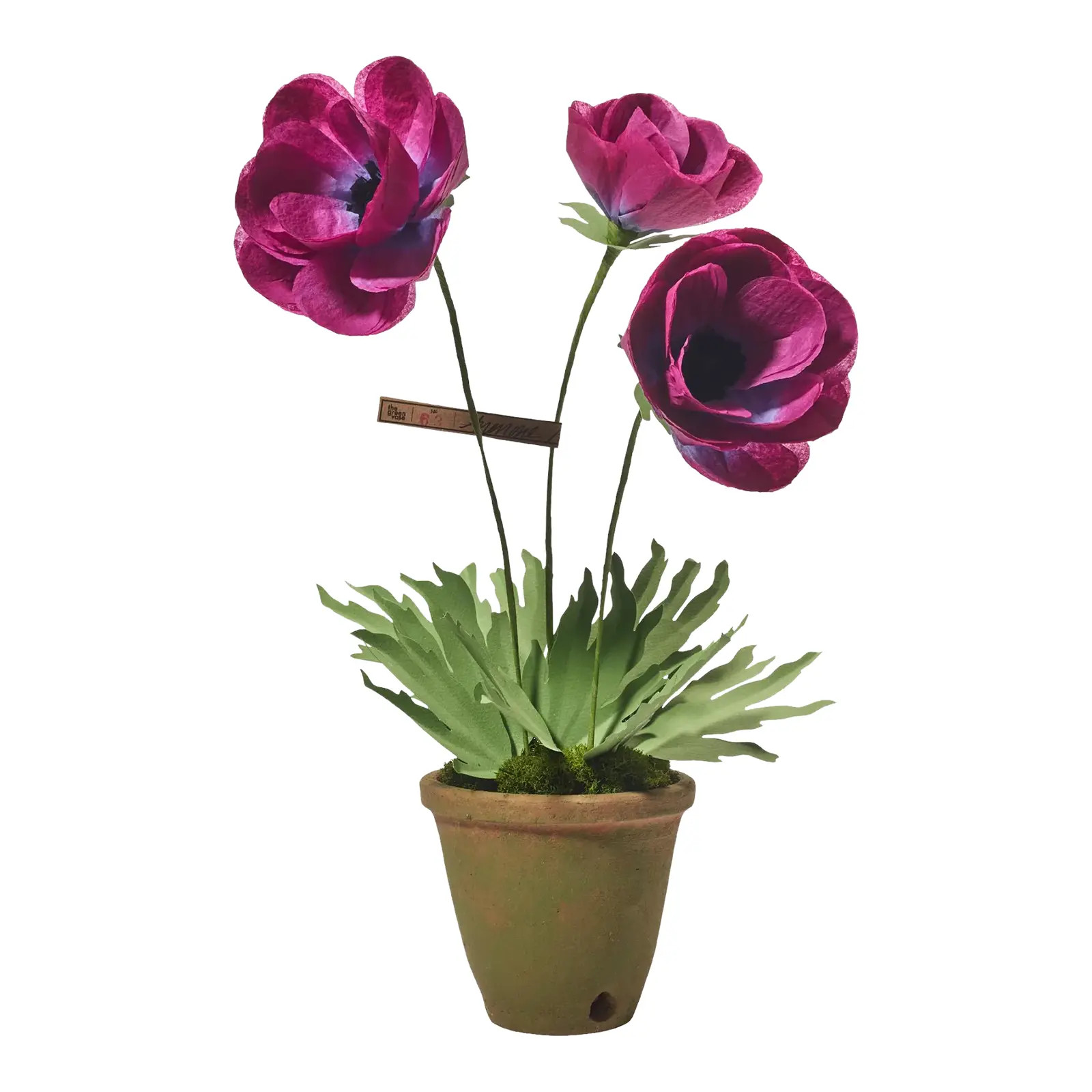 The Green Vase x Chairish Anemone Plant | Chairish