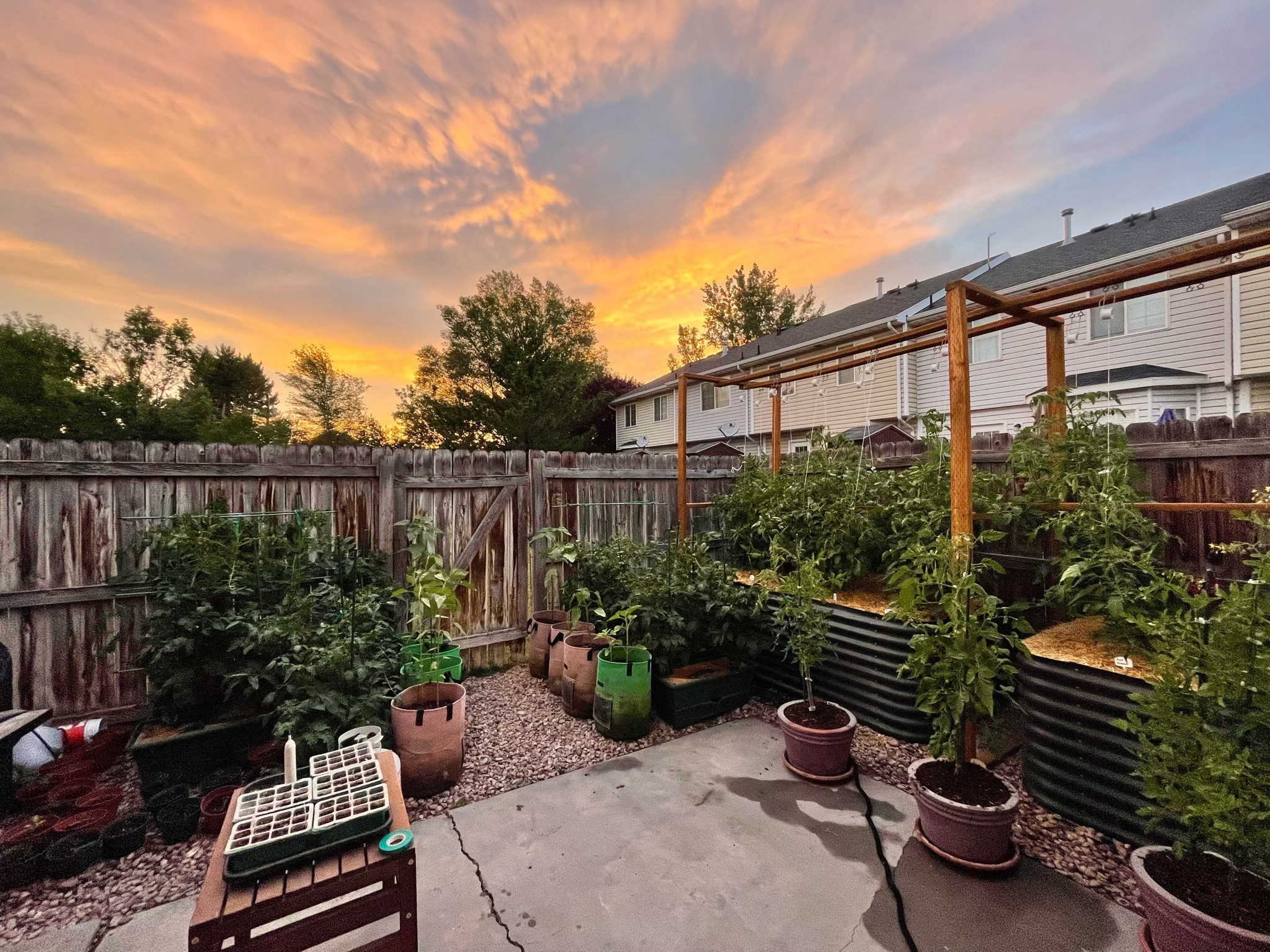 All the soil amendments I use and recommend to create a thriving garden. I use all of them, but if you can only do one, do the Espoma’s Tomato-Tone.

#LTKHome