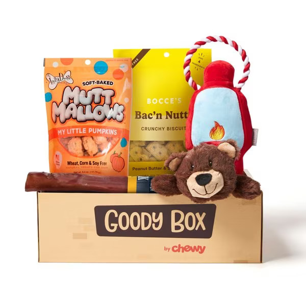 Goody Box Adventure Toys & Treats for Dogs, Medium/ Large | Chewy.com