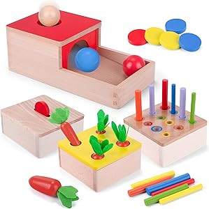 Montessori Toys for 1 Year Old, 4 in 1 Wooden Toys for Baby Boy Girl, Object Permanence Box, Colo... | Amazon (US)