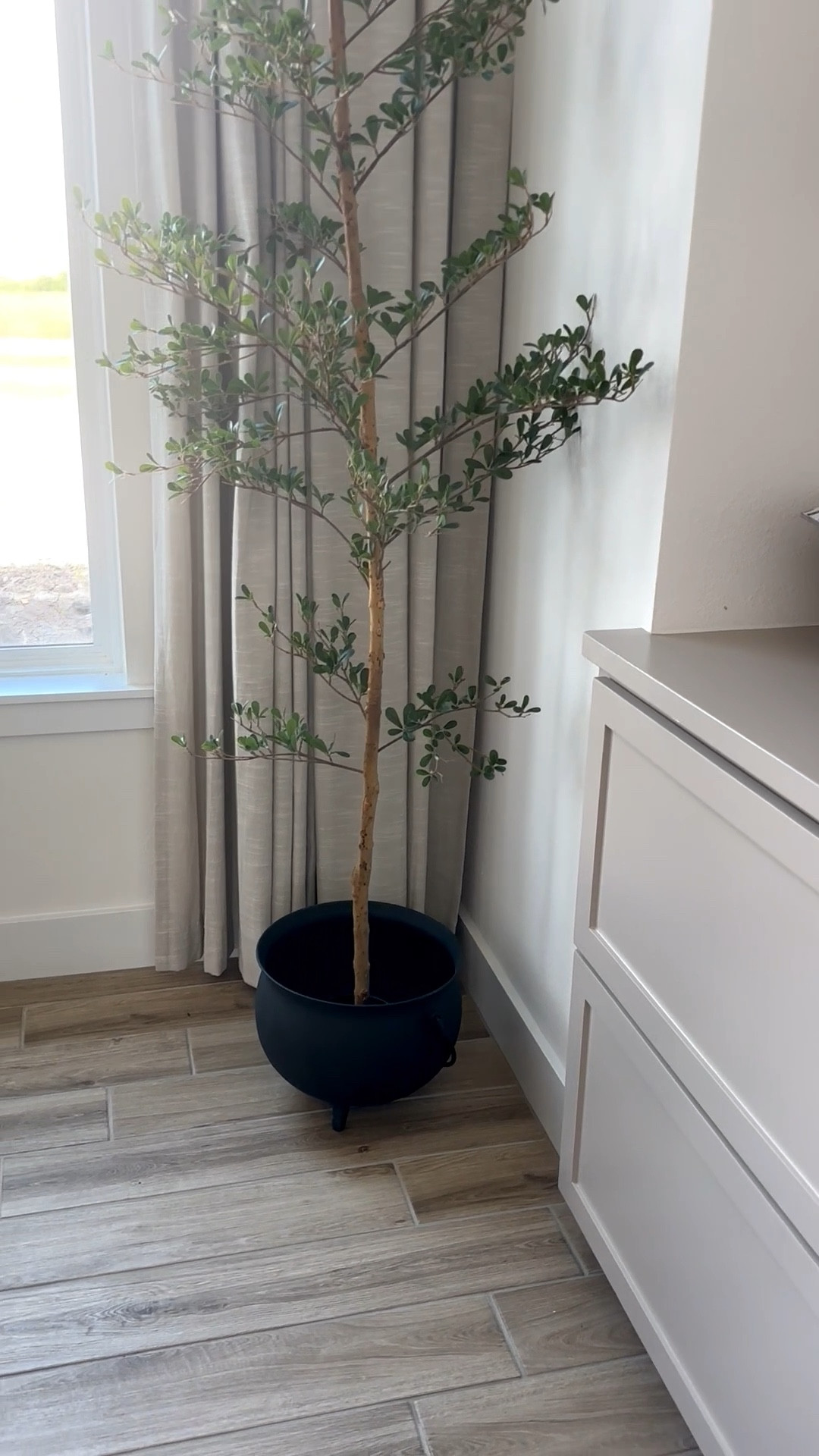 Spooky aesthetics 😬👻