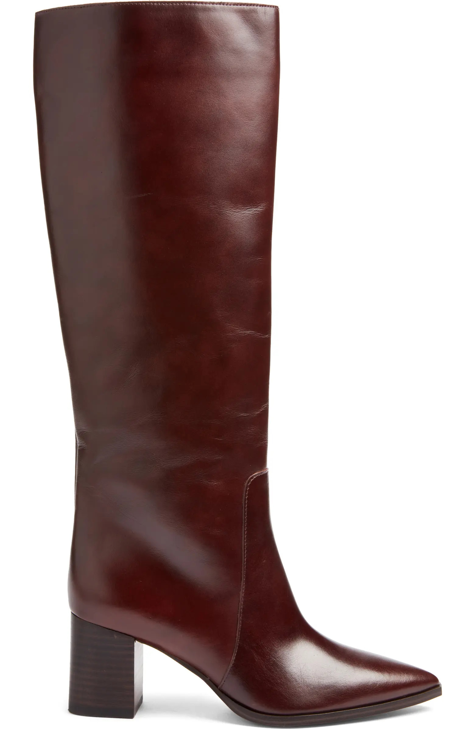 Lumina Pointed Toe Boot (Women) | Nordstrom