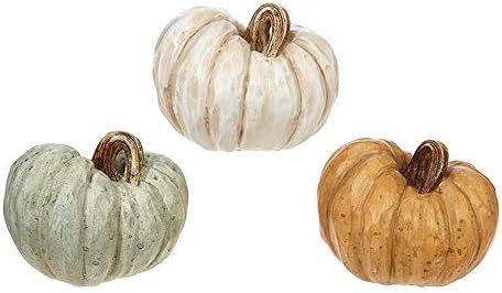 RAZ Imports Rustic Wood-Carved Look 4.5 x 3.5 Inch Resin Pumpkin Figurines Assorted Set of 3 | Amazon (US)