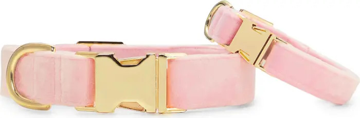Velvet Dog Collar | Nordstrom