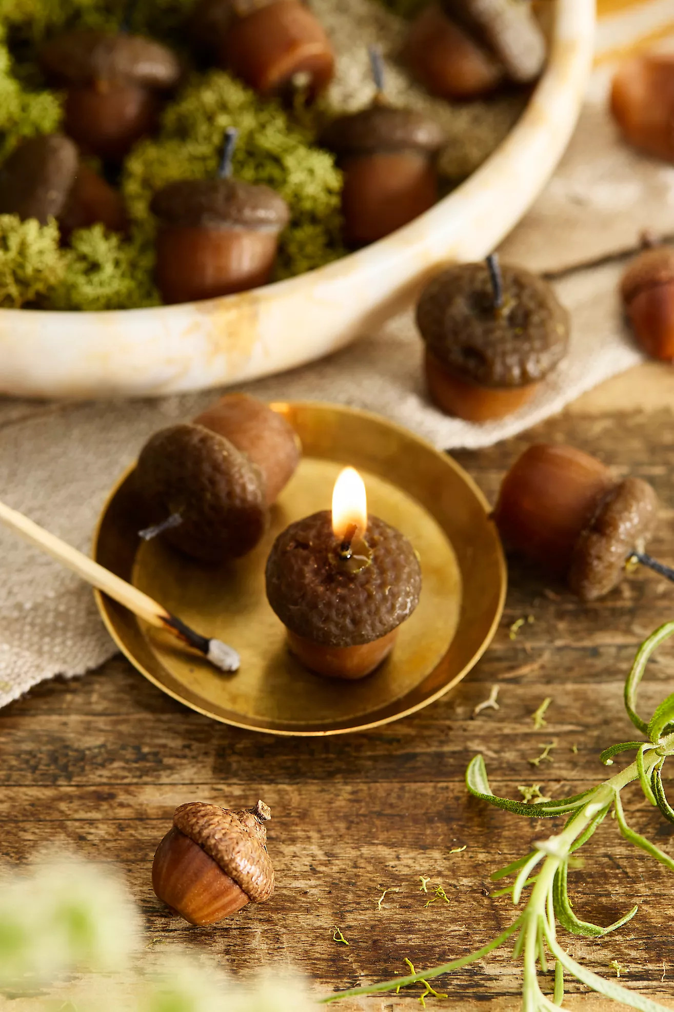 Happy Organics Acorn Beeswax Candles, Set of 10 | Anthropologie (US)