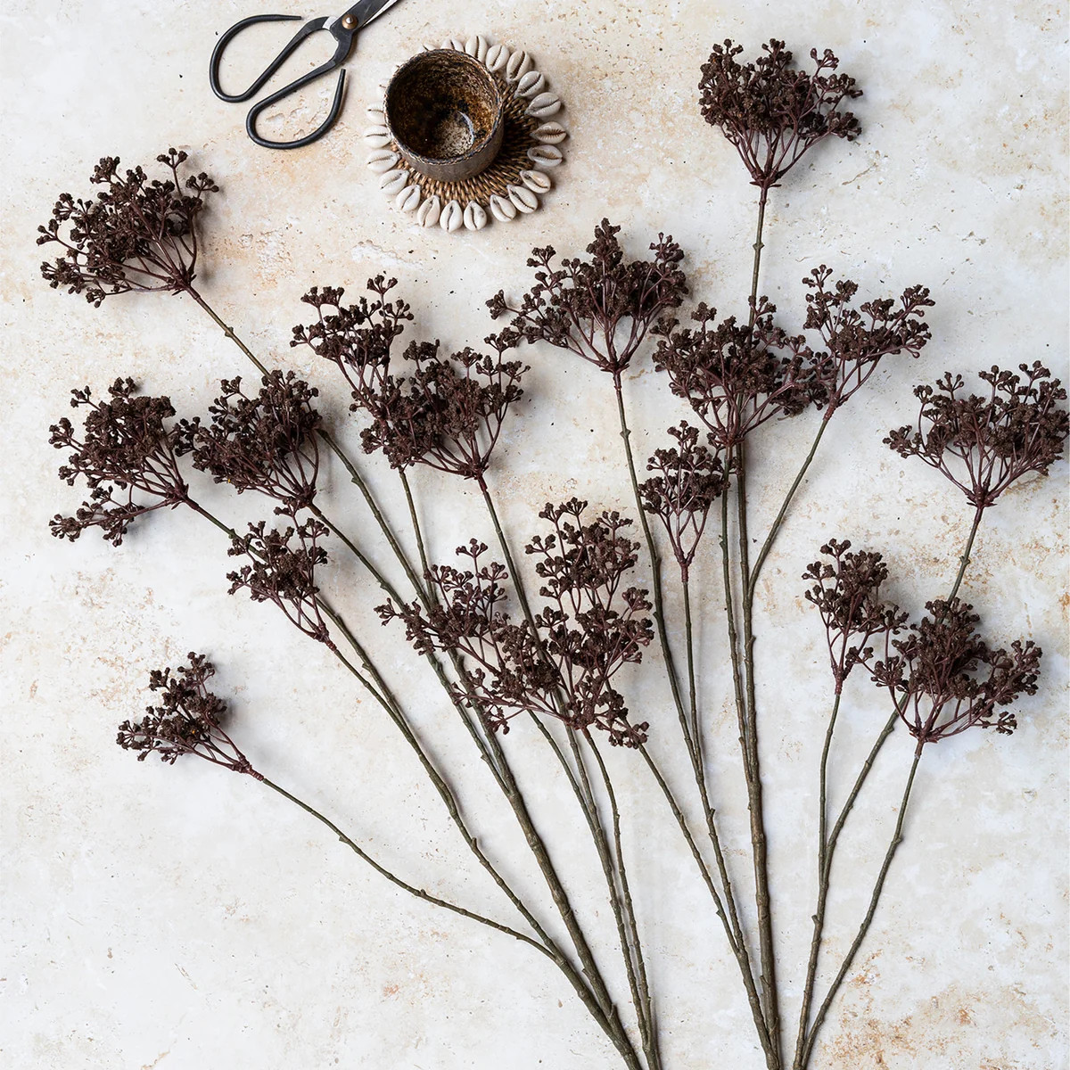 Woodland Yarrow Stem | Purple Rose & Co