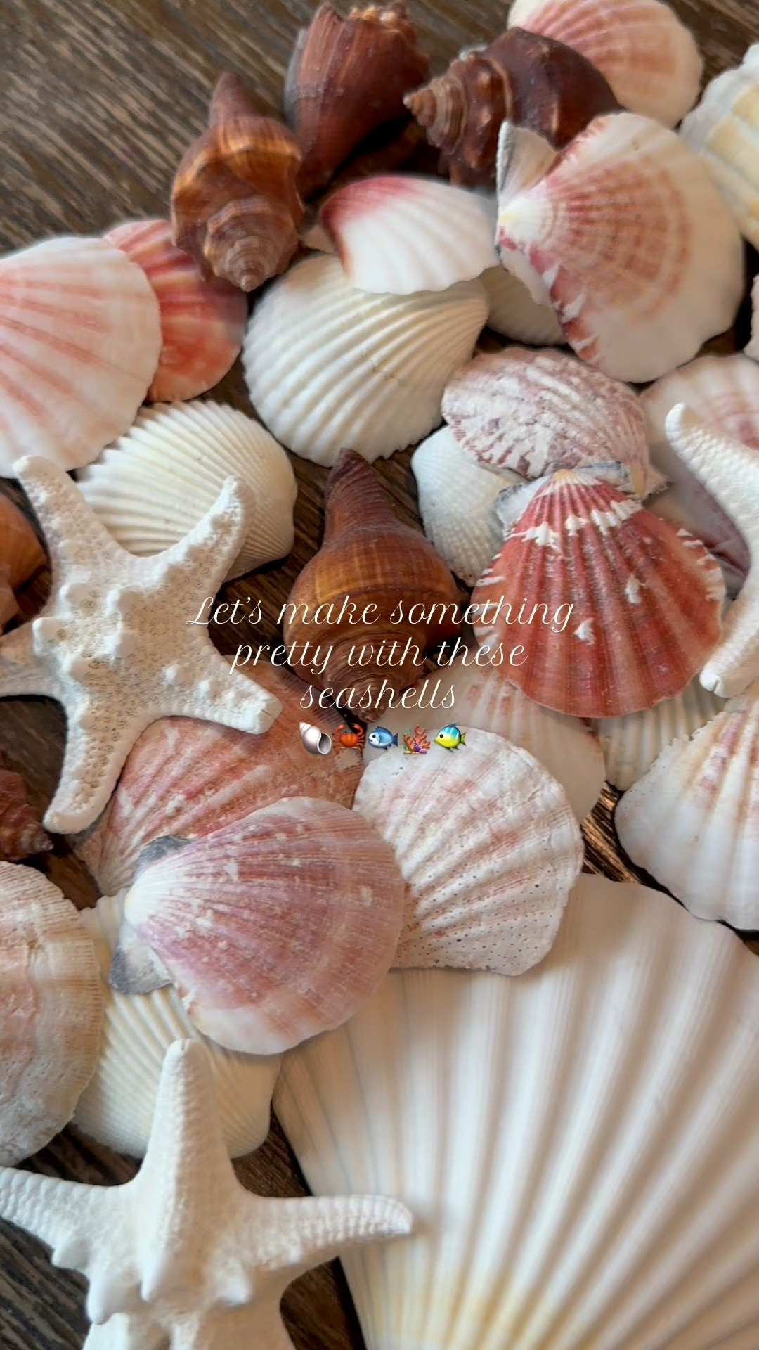 HOSTING THIS SUMMER? 🐚
My FAVORITE DIY Wine Chiller that I bring out every season! I LOVE getting creative with this! I used seashells that I ordered online to make this beautiful wine chiller. Perfect for hosting this Summer! 


#LTKFindsUnder50 #LTKHome #LTKSeasonal