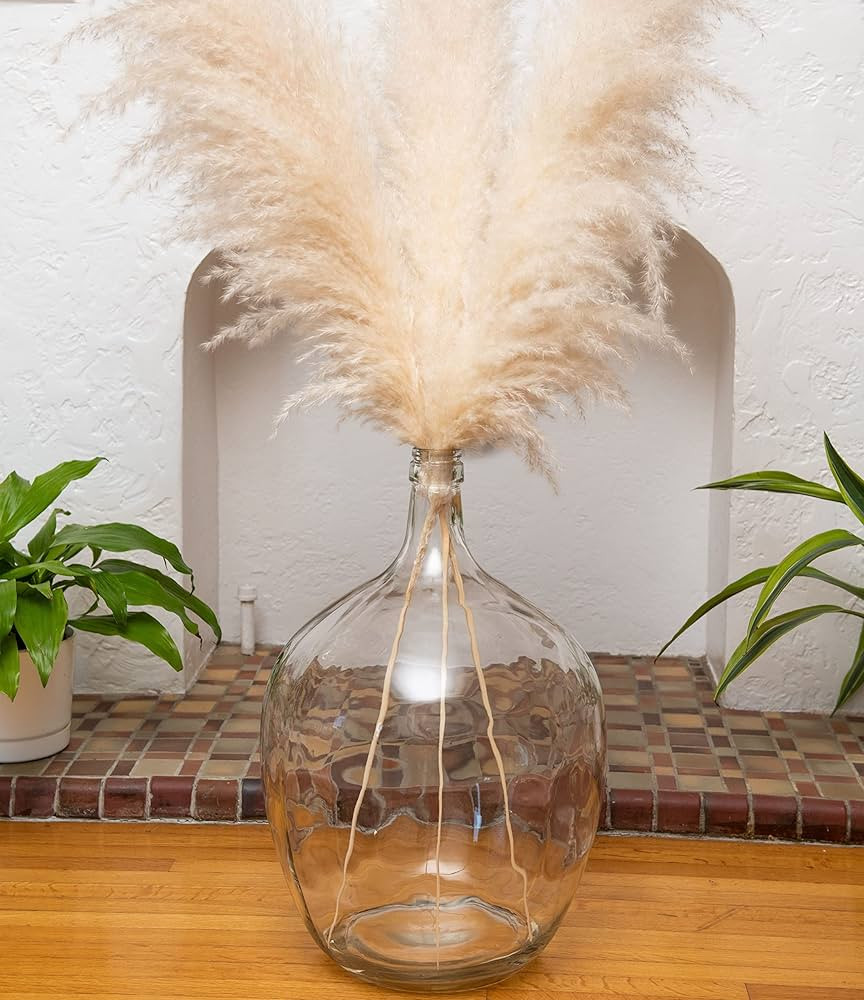 21" Extra Large Floor Vase for Living Room - Large Glass Vase for Pampas Grass- Oversized Large V... | Amazon (US)