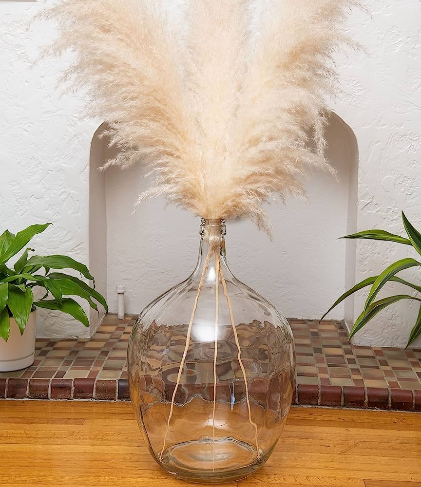 21" Extra Large Floor Vase for Living Room - Large Glass Vase for Pampas Grass- Oversized Large V... | Amazon (US)