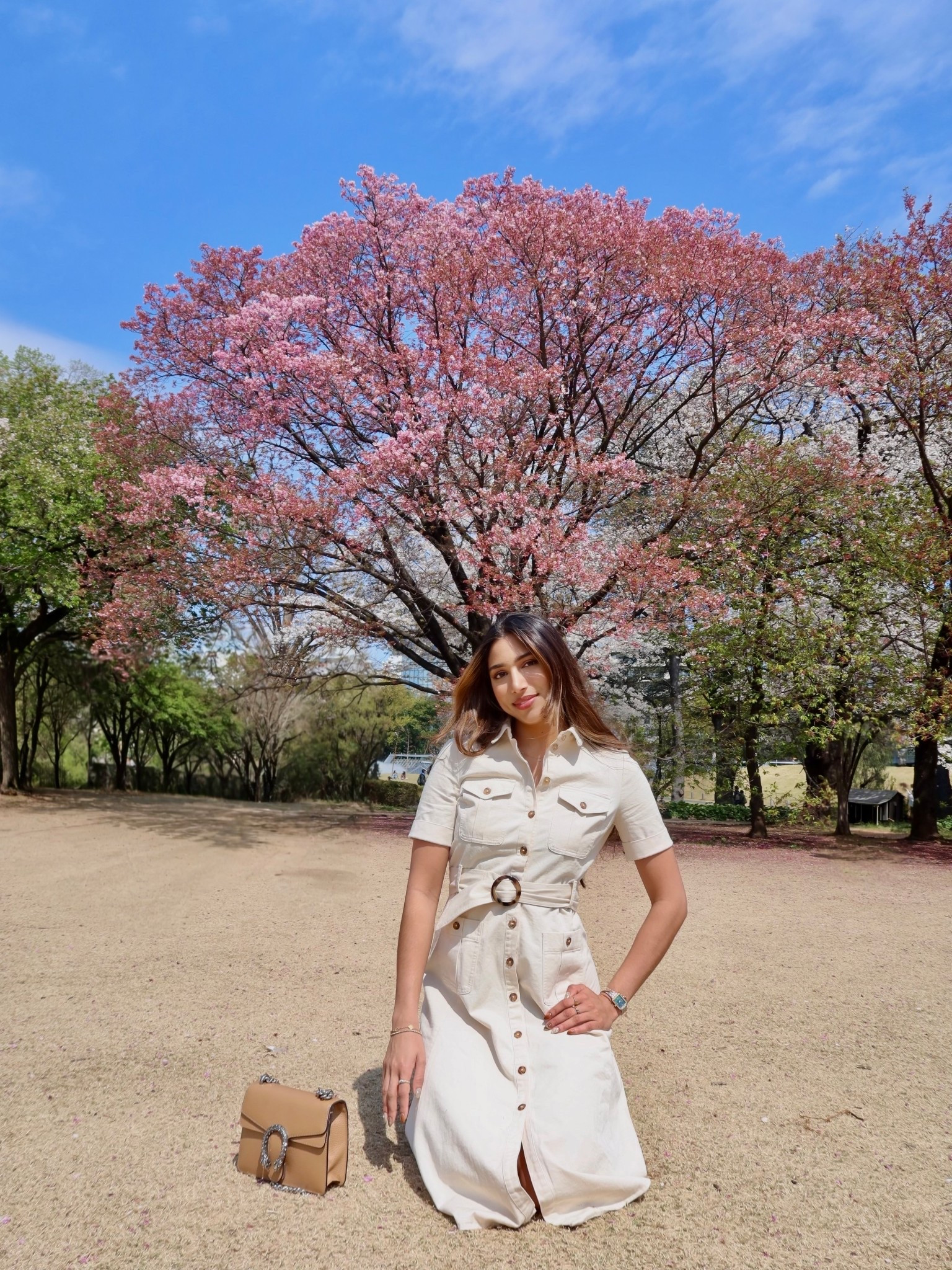 The perfect travel dress for cherry blossom season in JapaCher

#LTKStyleTip #LTKSeasonal #LTKTravel