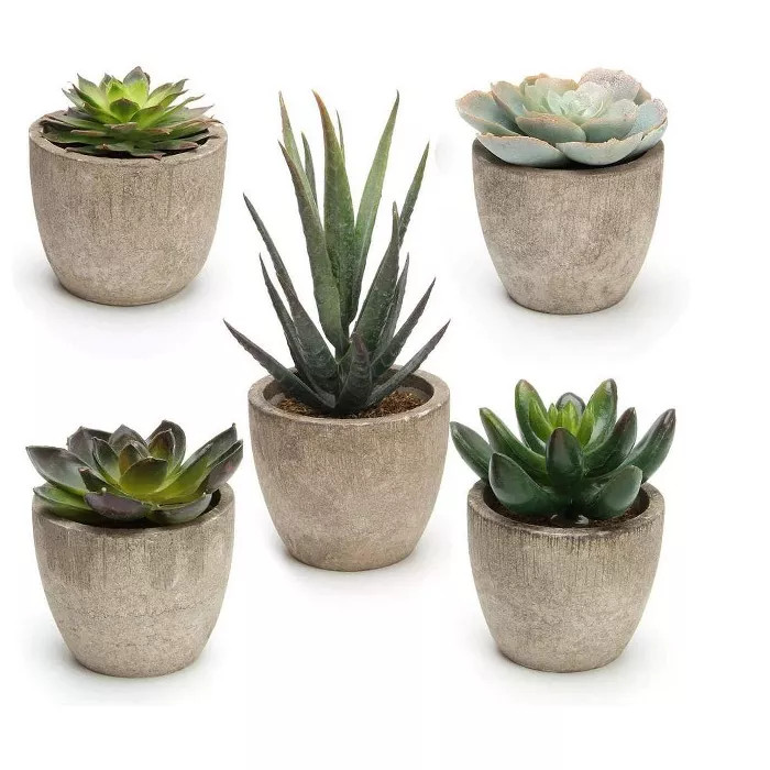 MPM Artificial Succulent Plants Potted, Assorted Decorative Faux Succulent Potted Fake Cactus Cac... | Target