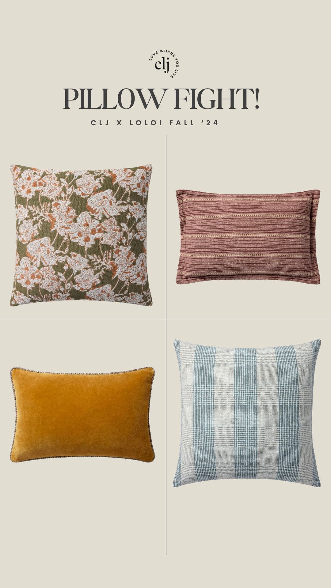 Choose your CLJ x Loloi pillow fighter!! 

#LTKHome #LTKStyleTip #LTKFindsUnder50