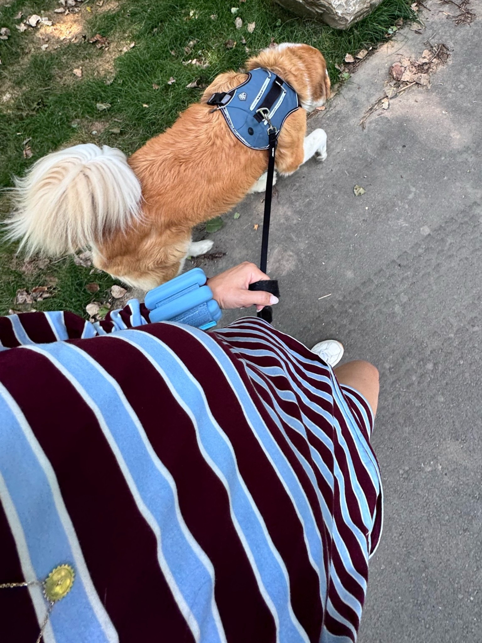 the balas matching my new uniform is *chef’s kiss*

#LTKootd #LTKU #LTKfitnessgoals