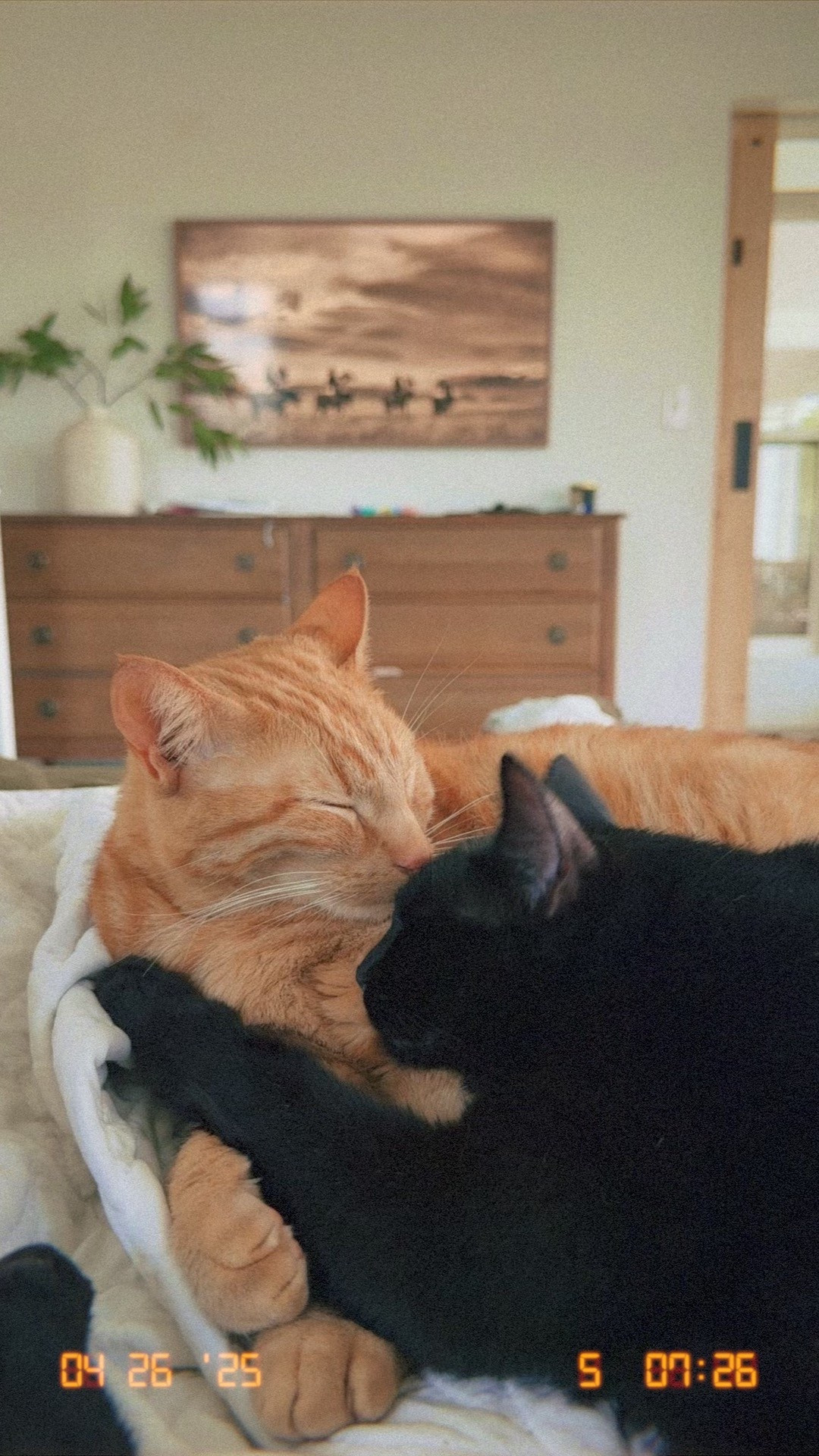 dresser, bedroom furniture 