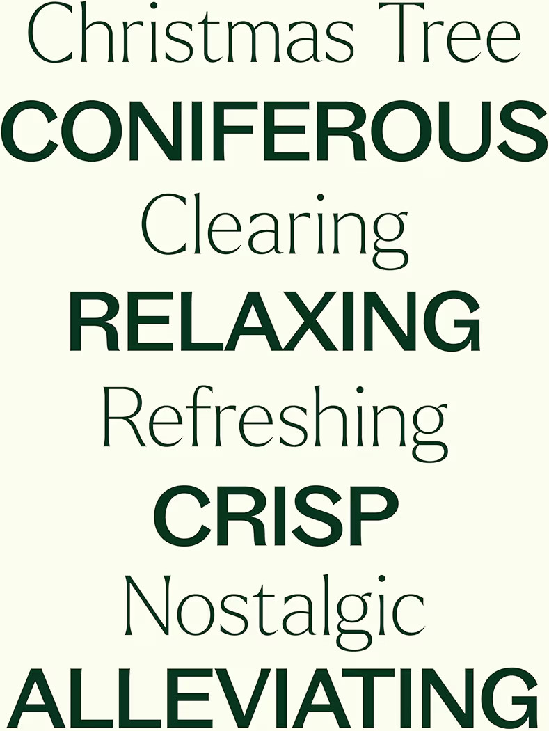 Plant Therapy Christmas Tree Holiday Essential Oil Blend 10 mL (1/3 oz) Crisp & Refreshing, Tradi... | Amazon (US)