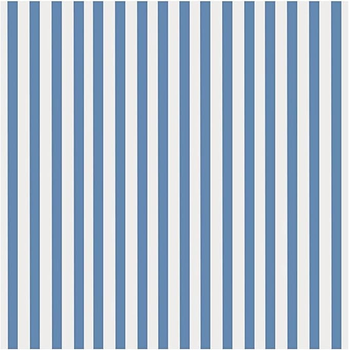 Stxy's 85 Paper Napkins Linen Feel Disposable Cloth Like Dinner Napkins Blue and White Seersucker... | Amazon (US)