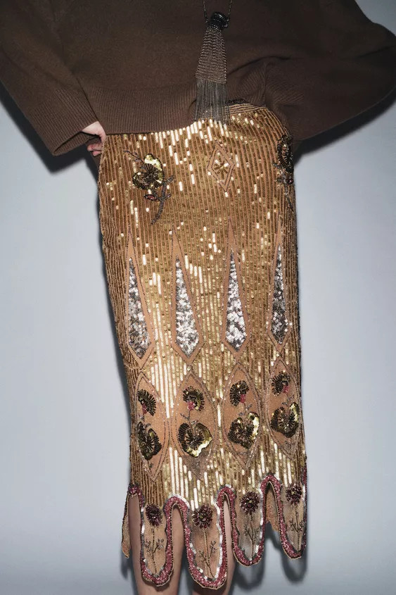 ZW COLLECTION LIMITED EDITION EMBROIDERED SKIRT | Zara Canada