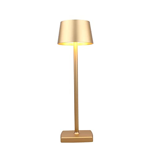 amhshkou Rechargeable led Cordless Table lamp,Aluminum, dimmable, Suitable for Indoor and Outdoor Lighting Gold | Amazon (US)
