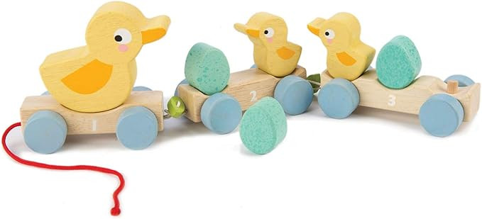 Tender Leaf Toys - Pull Along Ducks - Classic Wooden Pull Along Toy - 9pc Duck Family Set with 1 ... | Amazon (US)