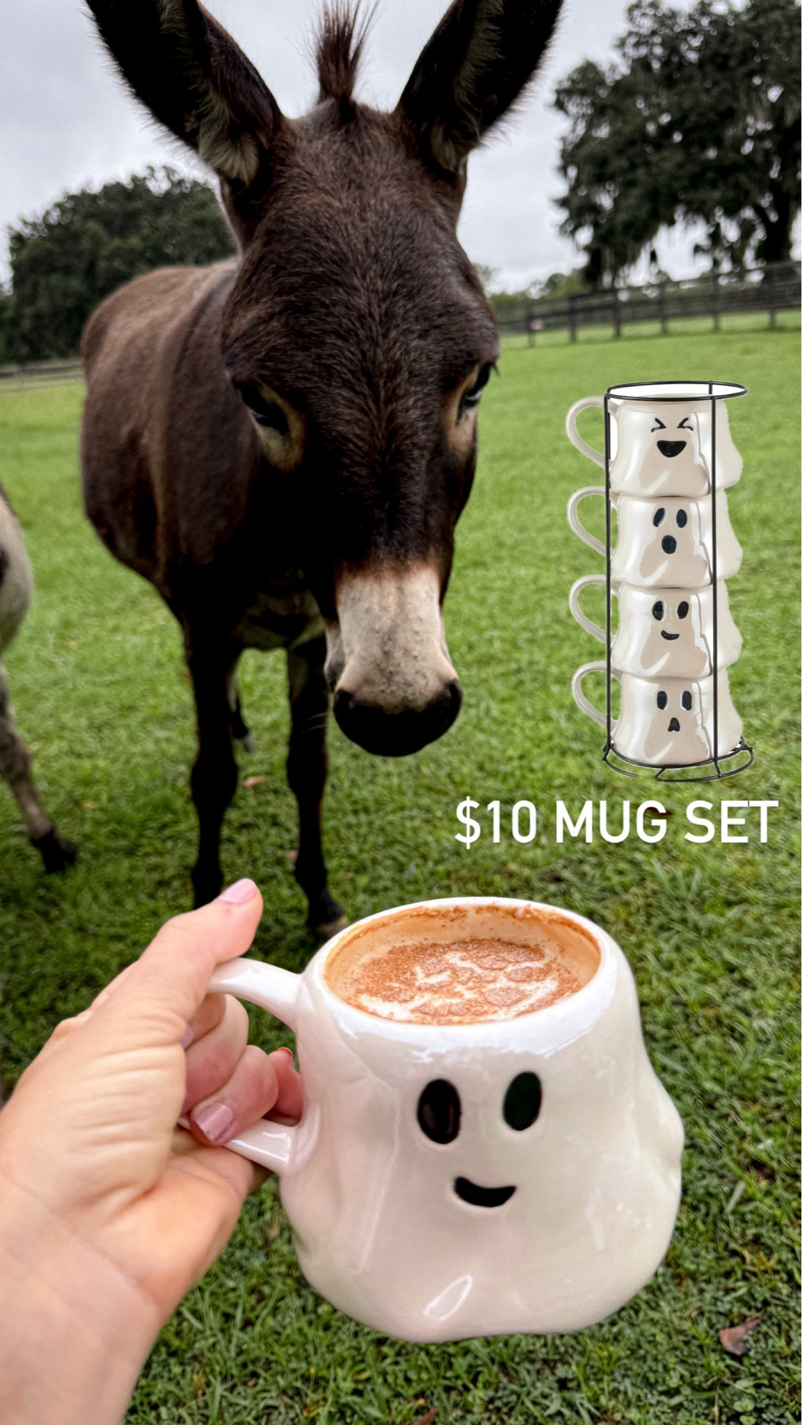 Ghost stacking coffee mug set 
Fall Halloween decor 




#LTKSaleAlert #LTKFindsUnder100 #LTKFindsUnder50