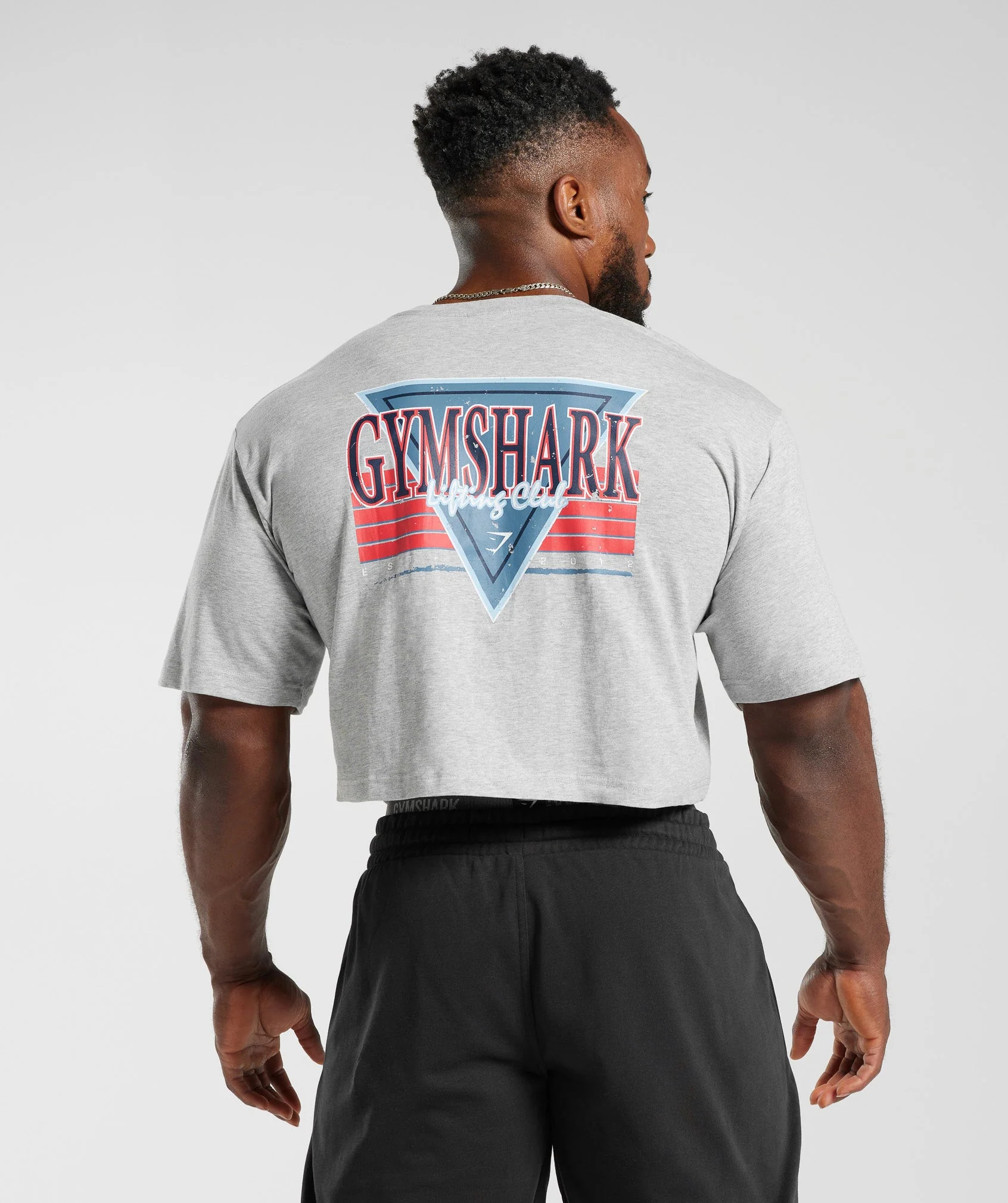 Gymshark Retrowave Crop T-Shirt - Light Grey Core Marl | Gymshark CA