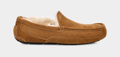 Ascot Slipper | UGG (US)