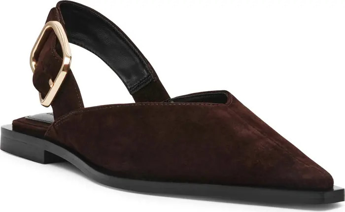 Shay Pointed Toe Slingback Flat (Women) | Nordstrom