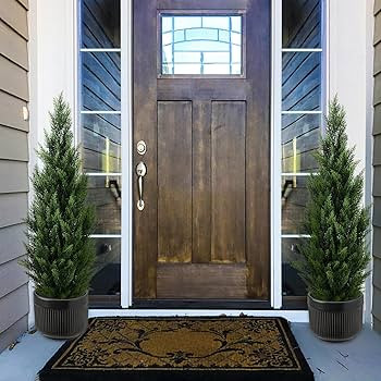 Melli Welli | Amazon (US)