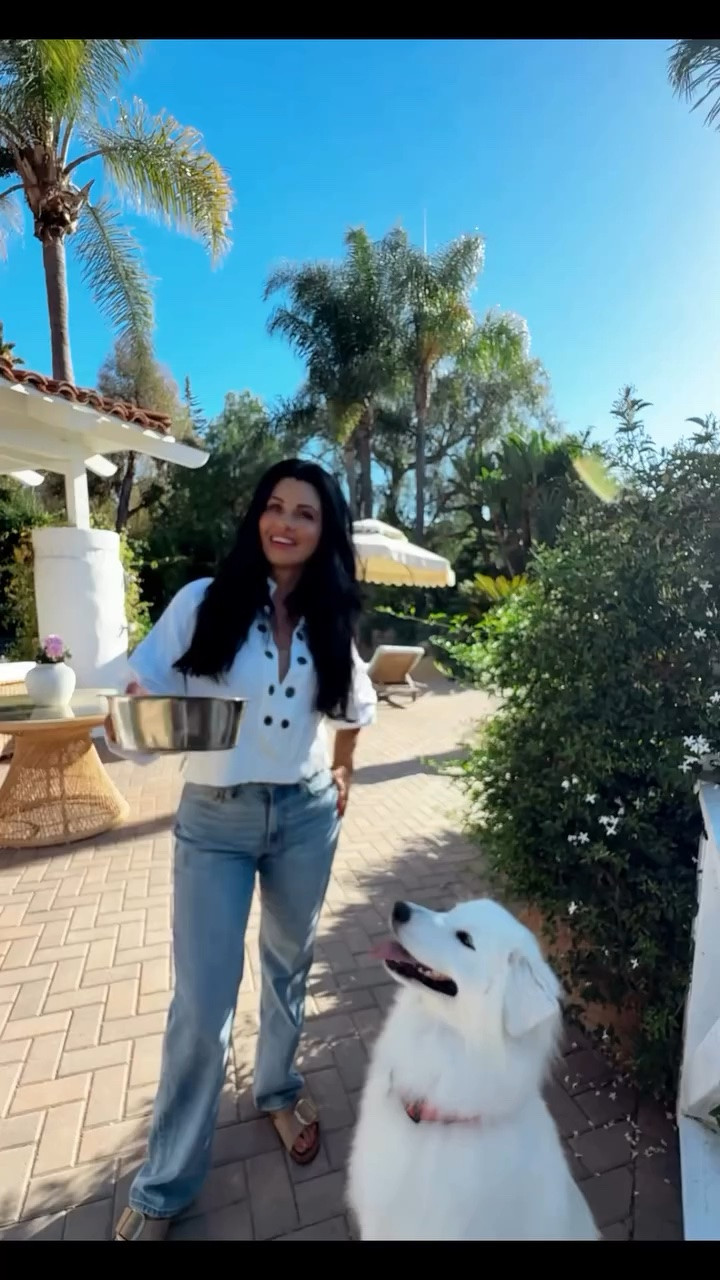 🐾✨ Have You Heard Of Coat Color Specific Dog Food?✨

If you have a white dog, you know the unique challenges of keeping their fur bright and free from tear stains! 

Nature’s Protection Superior Care by Kika USA, coat specific dog food offers specially formulated food for white dogs! (They offer formulas for red and dark dogs as well)!💕

My dogs absolutely ADORE this food, and the difference it has made is incredible. They are so energetic, and their coats are brighter than ever.

This isn’t just dog food; it’s a game-changer for their health and happiness. It’s packed with everything they need to thrive, and they can’t get enough of it!

Natures Protection Dog Food is now available at participating @petco locations in Los Anegeles, San Diego, and at Petco.com.

For more fun lifestyle tips, follow @marneys_tidbits 🌸 and explore my blog at marneystidbits.com!

#dogfood #petfood #marneystidbits

#LTKdayinmylife #LTKgrwm