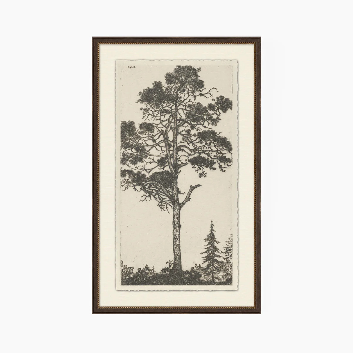 Tree Tops 1 | Stoffer Home