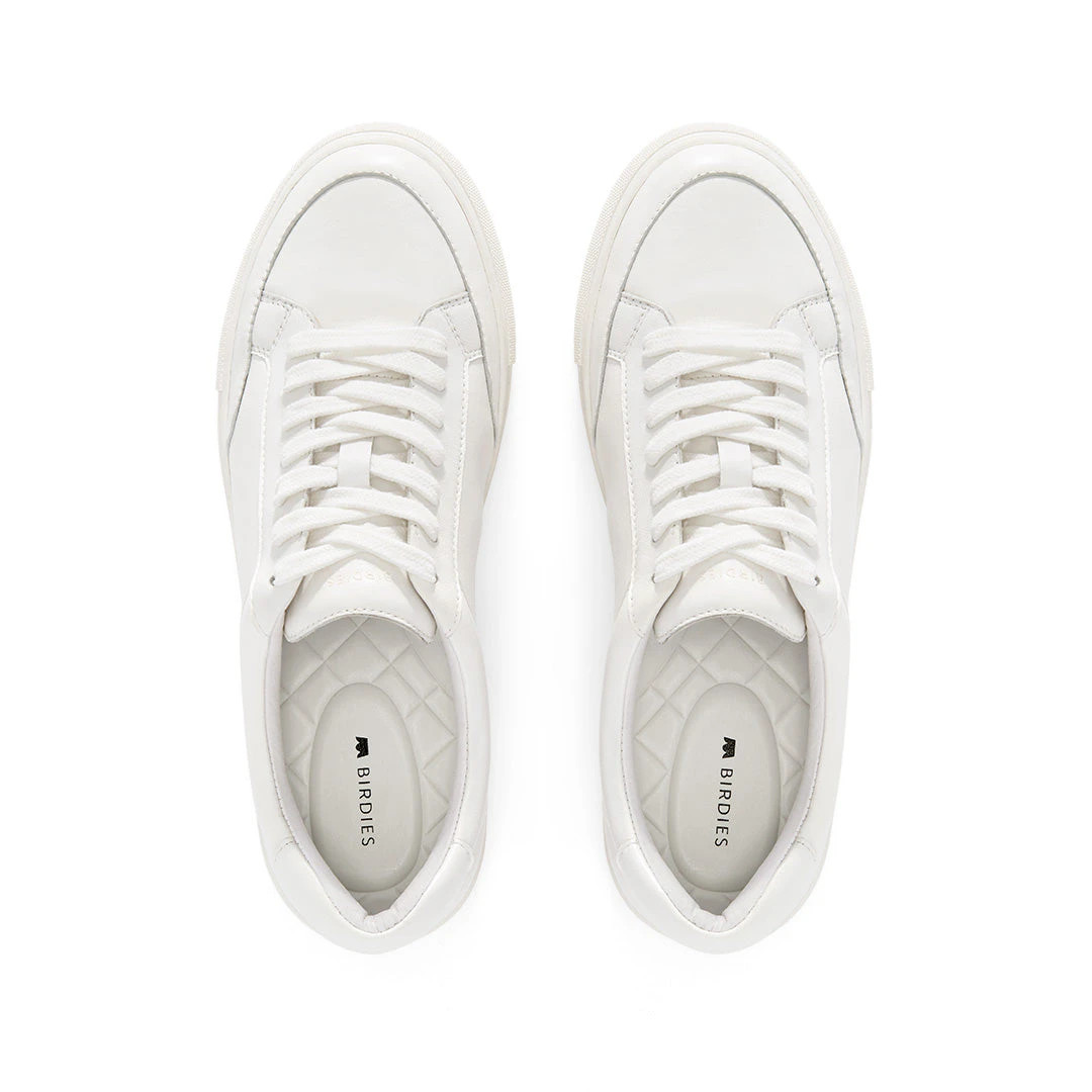 the cardinal | BIRDIES