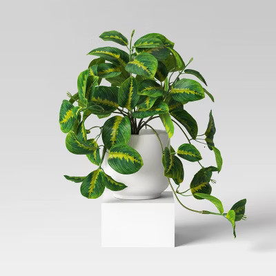 Trailing Prayer Artificial Plant - Room Essentials™ | Target