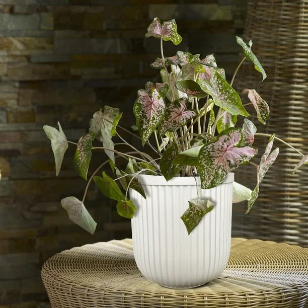 Better Homes & Gardens 16"W x 16"L x 15.8"H Ellan White Resin Plant Pot Planter | Walmart (US)