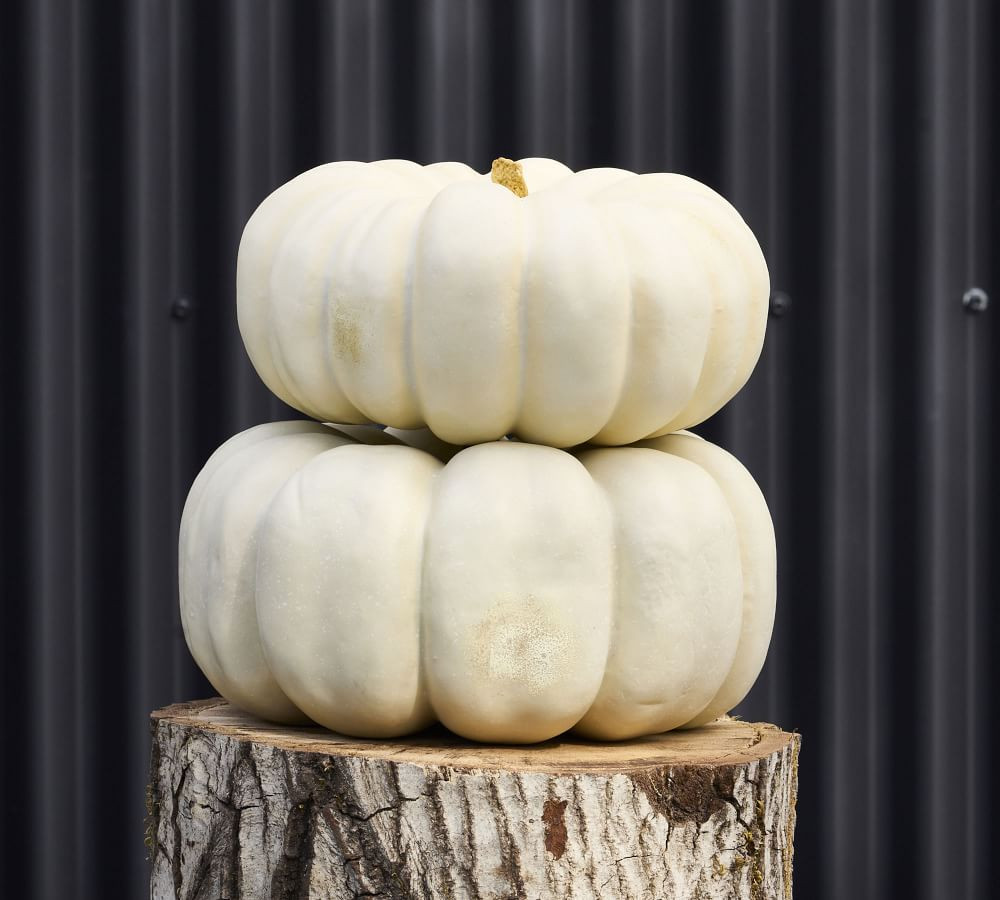 Faux Pumpkins & Gourds | Pottery Barn (US)