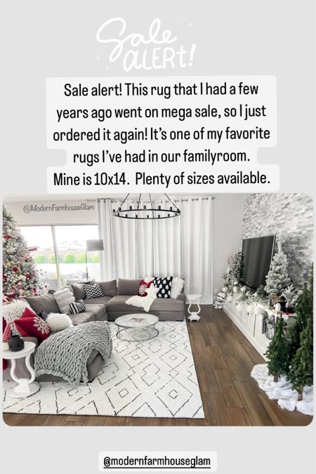 Sale alert! This rug that I had a few years ago went on mega sale, so I just ordered it again! It’s one of my favorite rugs I’ve had in our familyroom. 
Mine is 10x14.  Plenty of sizes available. 
Modern Farmhouse Glam 

#LTKhome #LTKsalealert