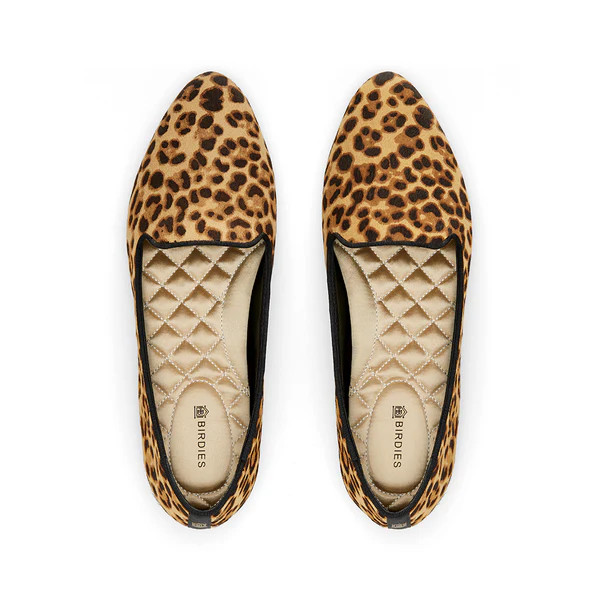 the blackbird | BIRDIES